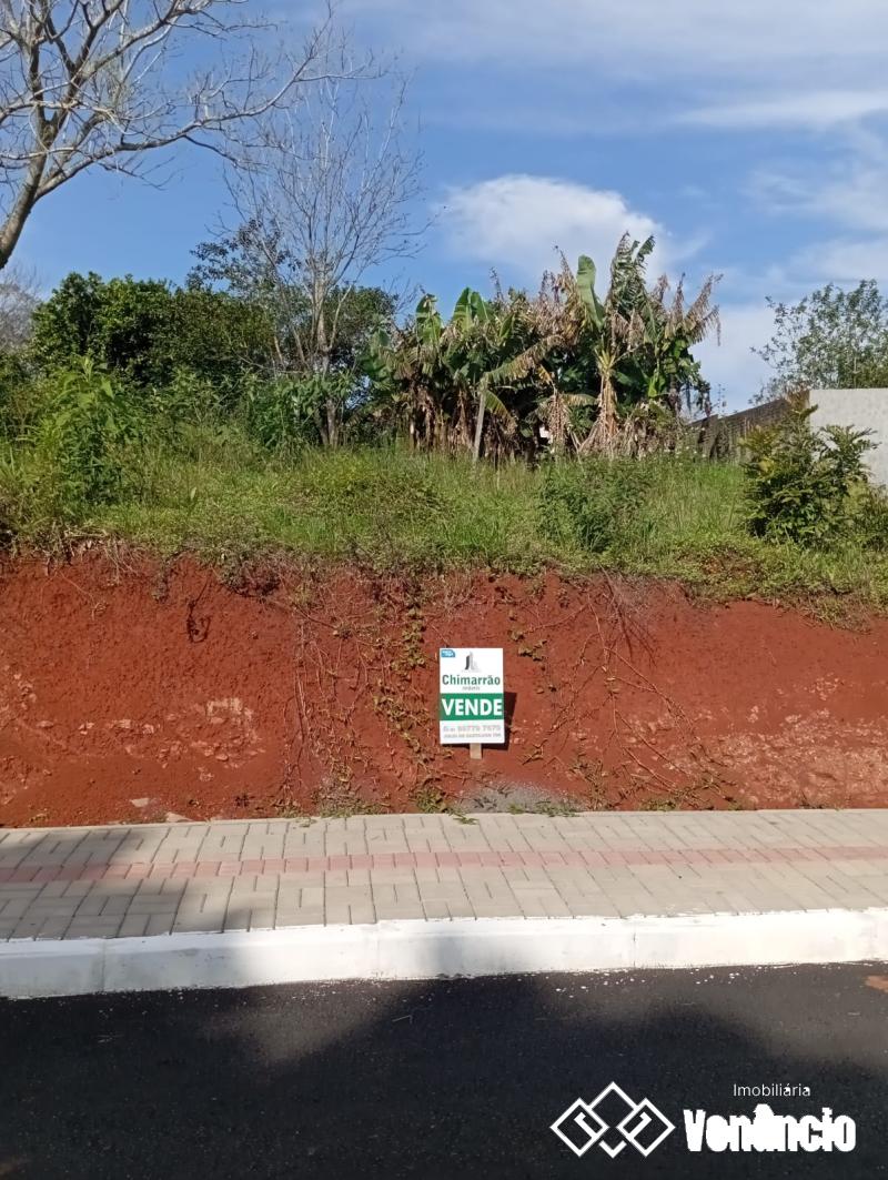 Imagem Destaque 2