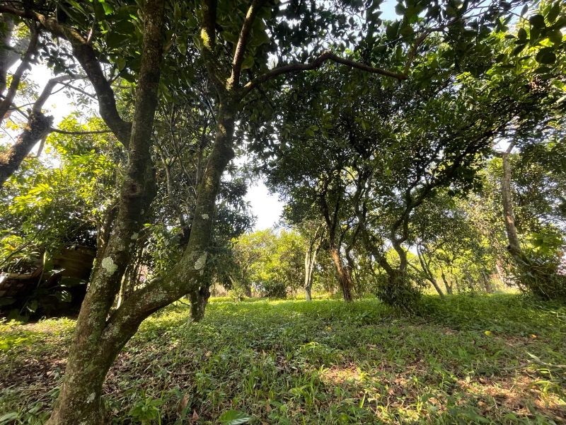 Imagem Destaque 2