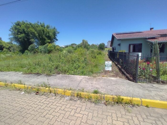 Imagem Destaque 2