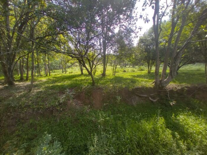Imagem Destaque 1